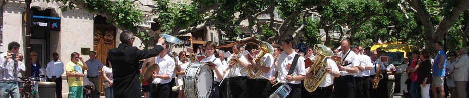 Banda Ciudad de Burgos Corpus 2015 (44)